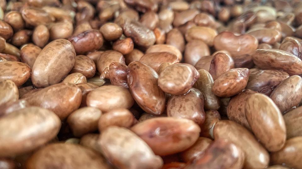 Seeds and grains